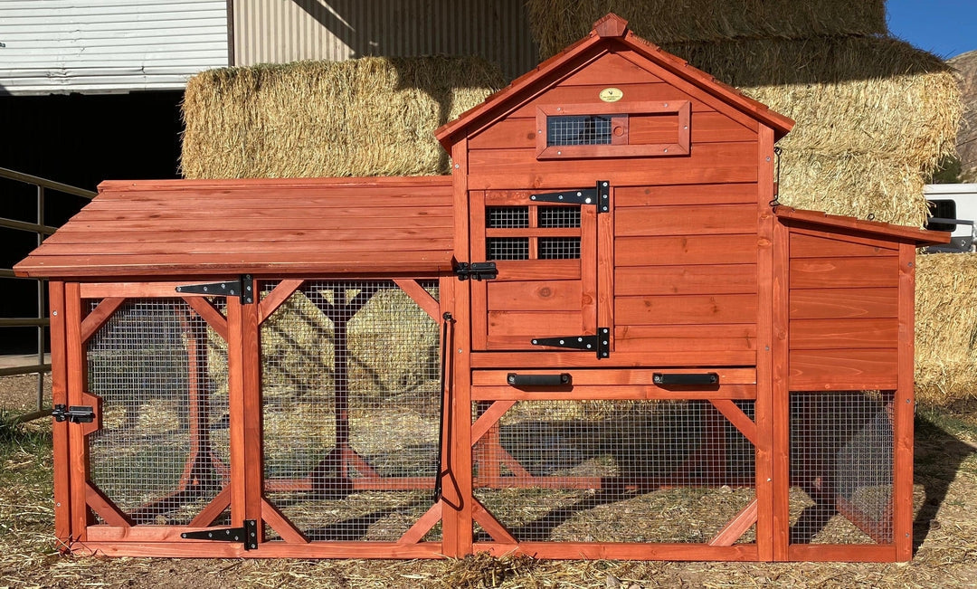 The Chicken Coop Company Chicken Coop for 4+ Chickens – Leghorn Cottage Chicken Coop